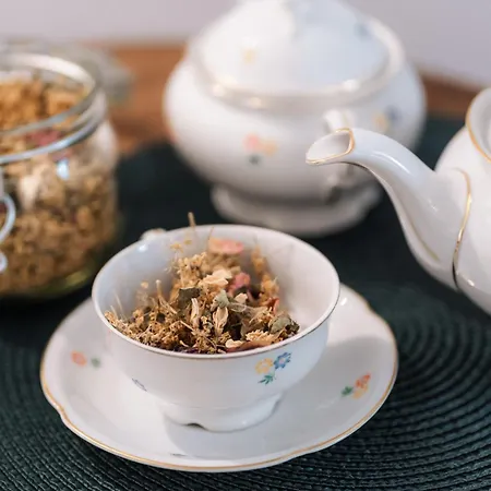 Aparthotel Apartmaji Vouk - Sodobni Apartmaji V Objemu Narave - Lukanja - Rogla - Primerno Za Pare In Druzine - Sprostitev In Aktivno Prezivljanje Prostega Casa Oplotnica