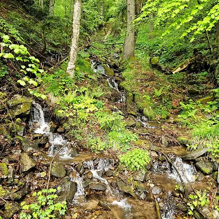 Apartmaji Vouk - Sodobni Apartmaji V Objemu Narave - Lukanja - Rogla - Primerno Za Pare In Druzine - Sprostitev In Aktivno Prezivljanje Prostega Casa