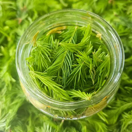 Apartmaji Vouk - Sodobni Apartmaji V Objemu Narave - Lukanja - Rogla - Primerno Za Pare In Druzine - Sprostitev In Aktivno Prezivljanje Prostega Casa מלון דירות