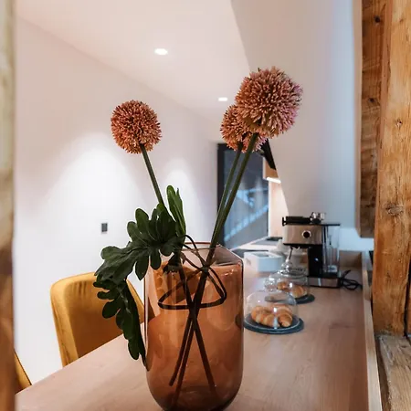 Apartmaji Vouk - Sodobni Apartmaji V Objemu Narave - Lukanja - Rogla - Primerno Za Pare In Druzine - Sprostitev In Aktivno Prezivljanje Prostega Casa Apartahotel Oplotnica