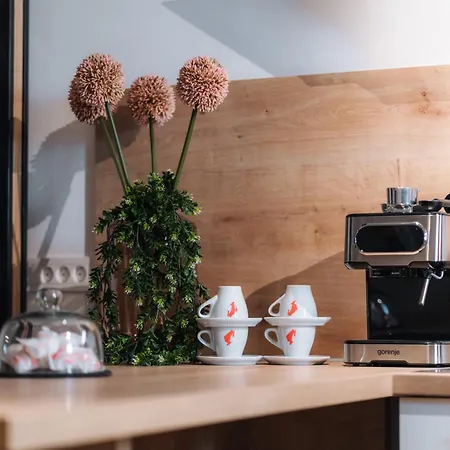 Apartmaji Vouk - Sodobni Apartmaji V Objemu Narave - Lukanja - Rogla - Primerno Za Pare In Druzine - Sprostitev In Aktivno Prezivljanje Prostega Casa *