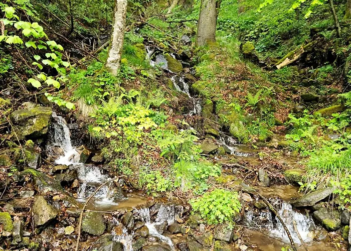 Apartmaji Vouk - Sodobni Apartmaji V Objemu Narave - Lukanja - Rogla - Primerno Za Pare In Druzine - Sprostitev In Aktivno Prezivljanje Prostega Casa