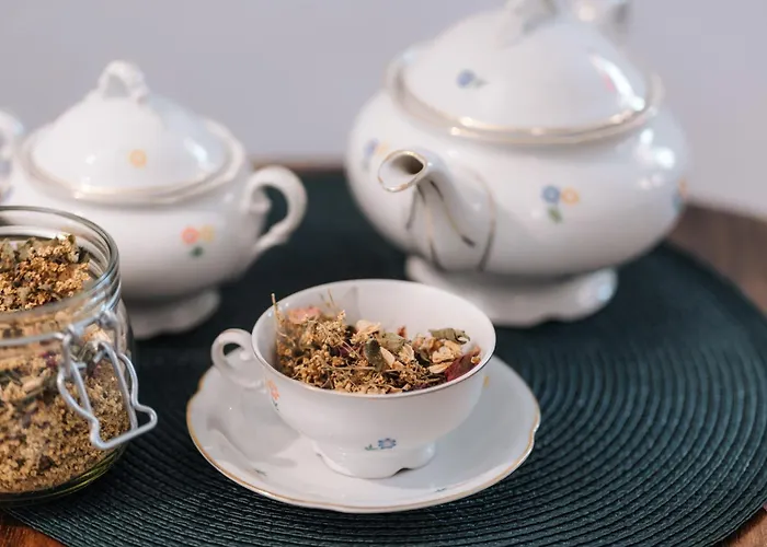 Apartmaji Vouk - Sodobni Apartmaji V Objemu Narave - Lukanja - Rogla - Primerno Za Pare In Druzine - Sprostitev In Aktivno Prezivljanje Prostega Casa * Oplotnica